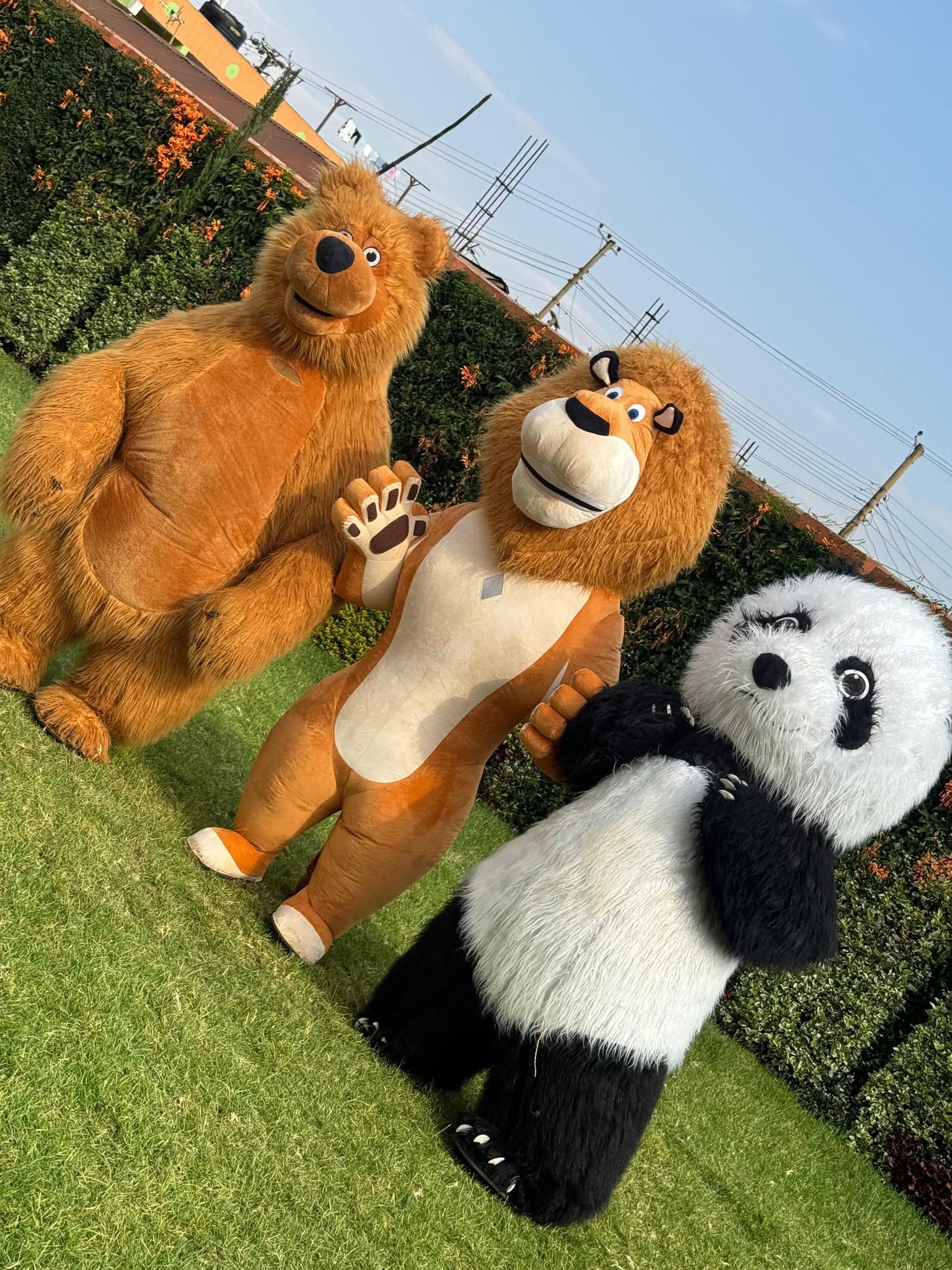 Premier Events & Decor mascot entertainment — bear, lion and panda mascots at event