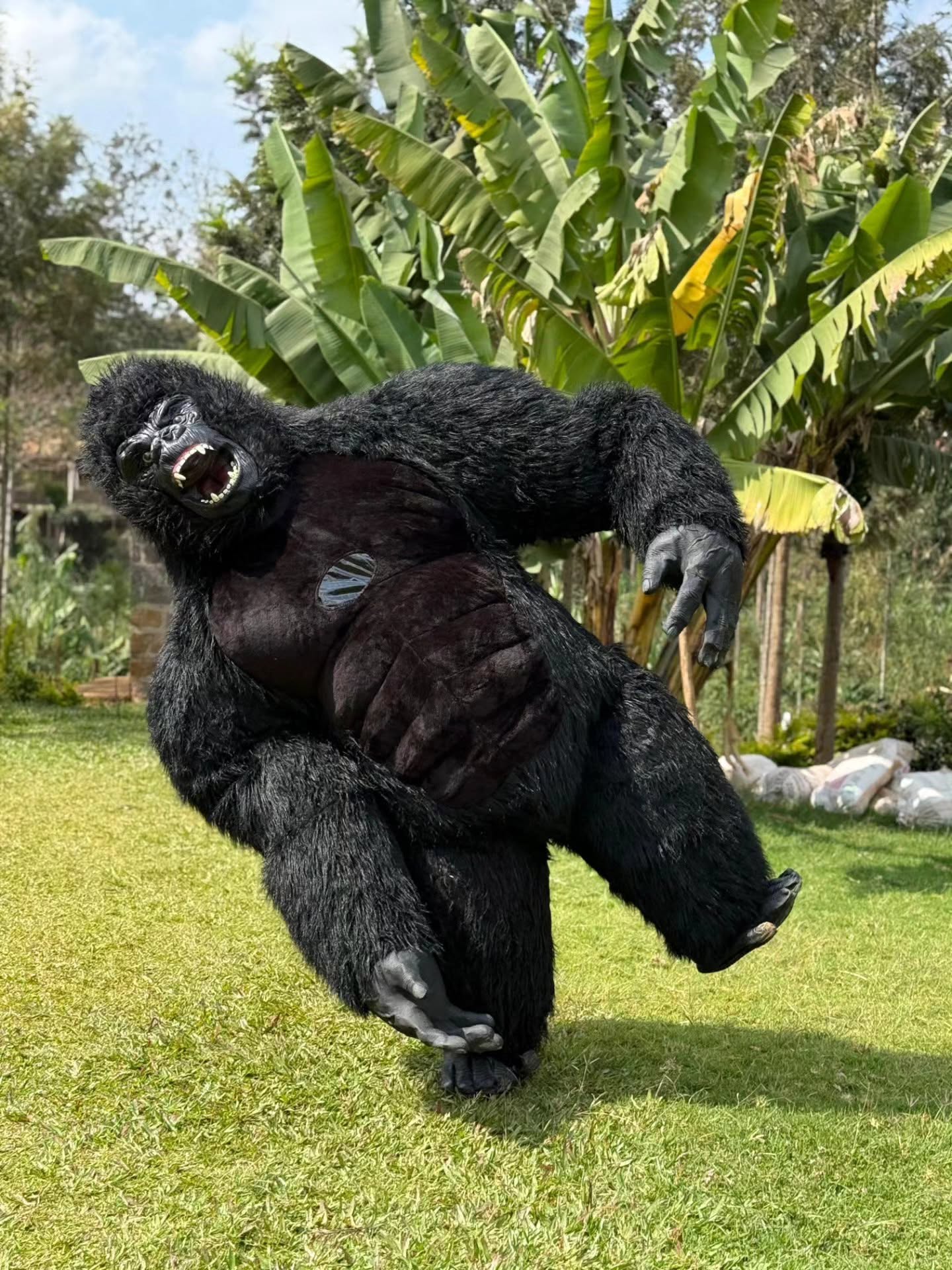 Premier Events & Decor brown bear mascots outdoors